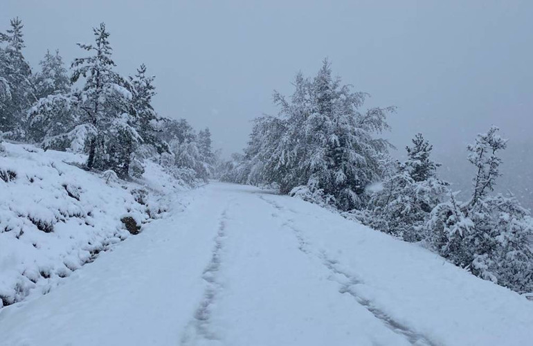 Meteoroloji uyarmıştı: Hava soğudu, kar bastırdı... Kent merkezini beyaz örtü kapladı