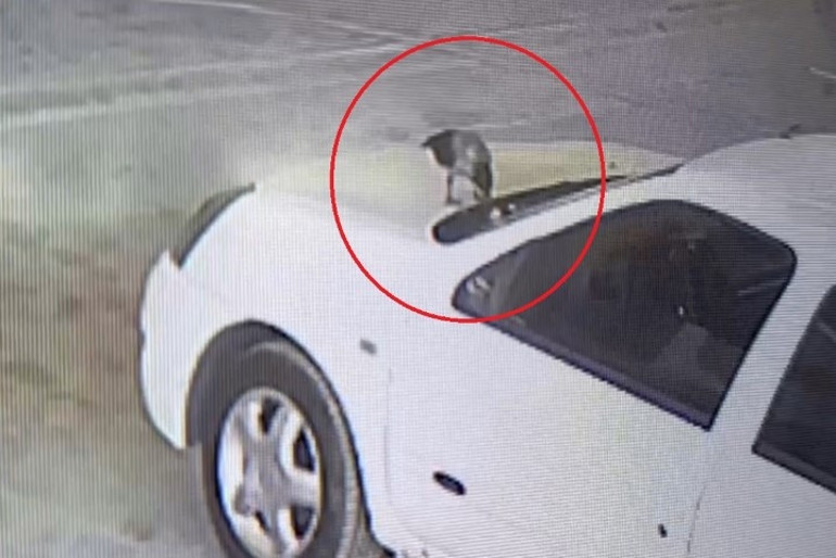 Sanayi sitesinde şaşkına çeviren olay: Karga kaputun üzerinden anahtarı alıp kaçtı