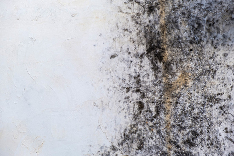 Basit bir küf deyip geçmeyin Ölümlere dahi neden oluyor