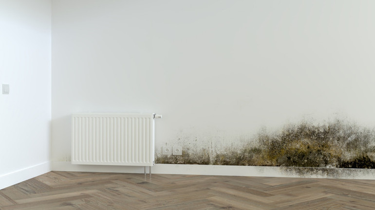 Basit bir küf deyip geçmeyin Ölümlere dahi neden oluyor