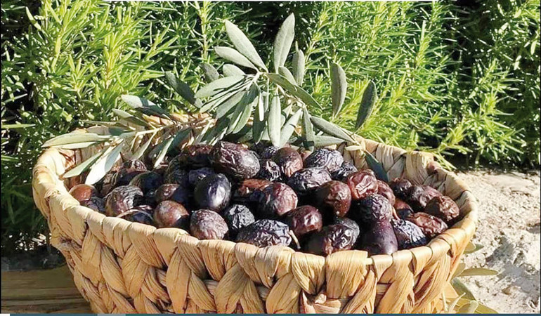 Gastronomi kazanında kaynayanlar