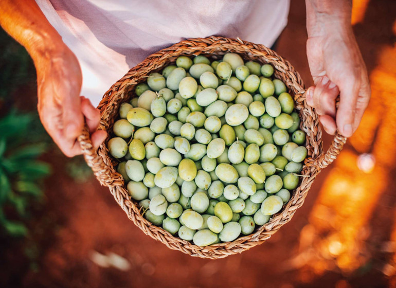 Zeytinlerden bereket damlıyor: Rengiyle, kokusuyla, lezzetiyle mutfağımızın baş tacı