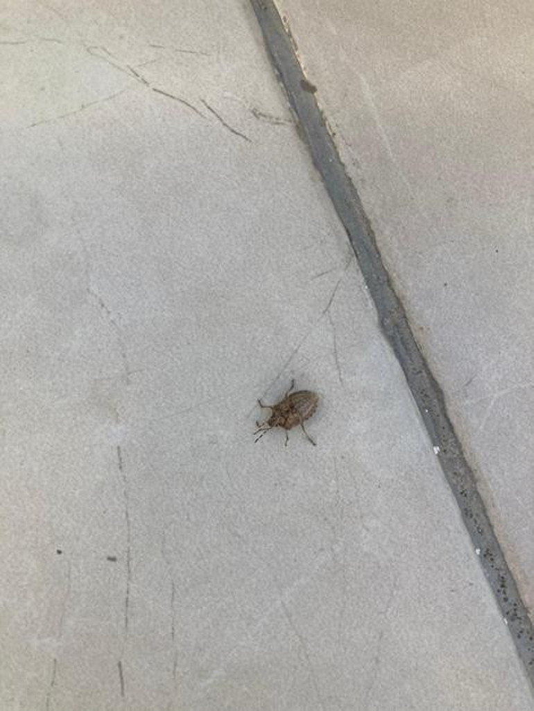 Vatandaşın EGO notları