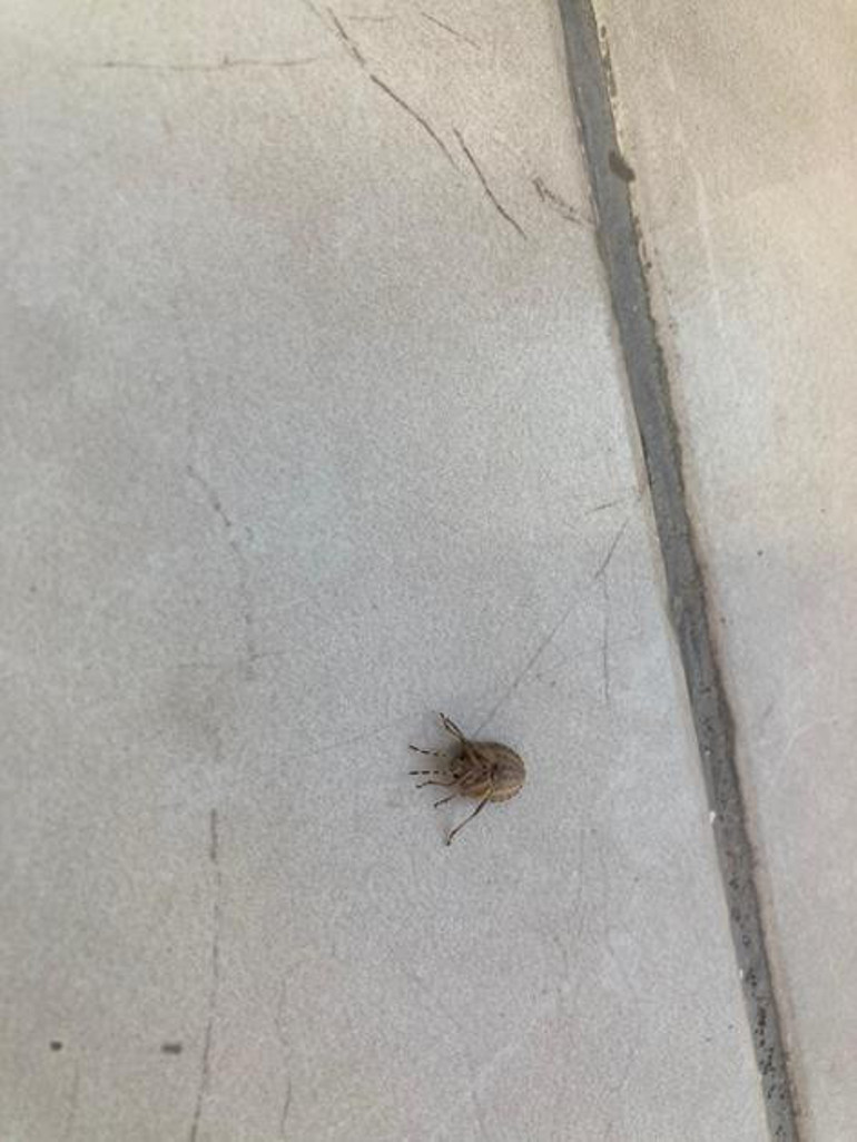 Vatandaşın EGO notları