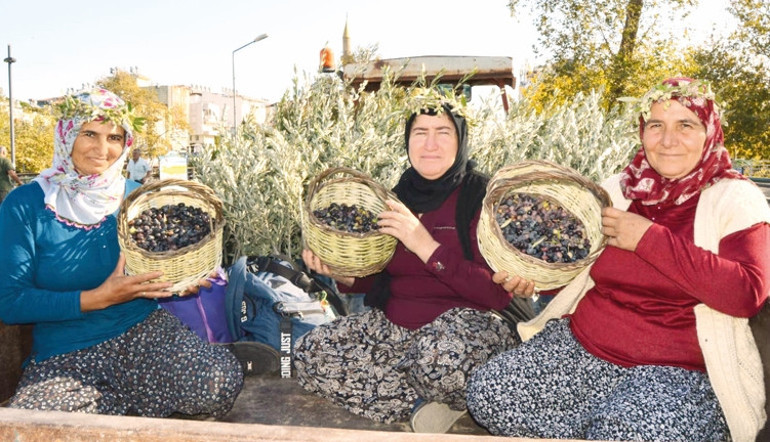 Mösyö Şokola’nın Resimli Yemek Kitabı