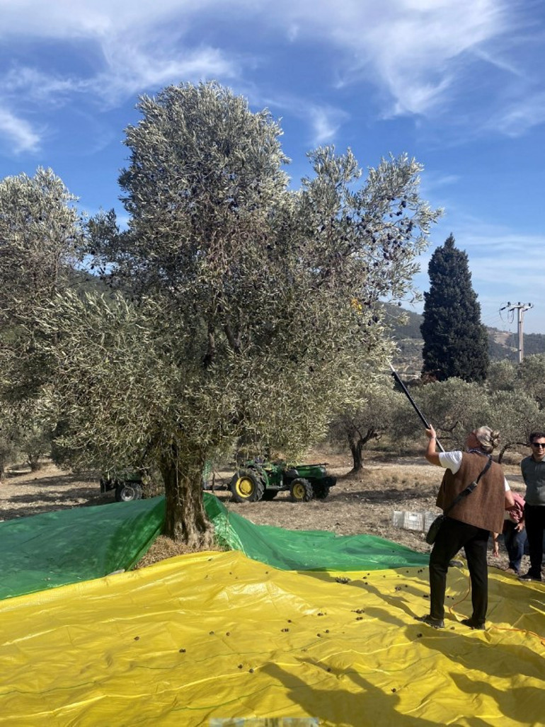 Tarımda kadının parmak izi kooperatifle belirginleşecek