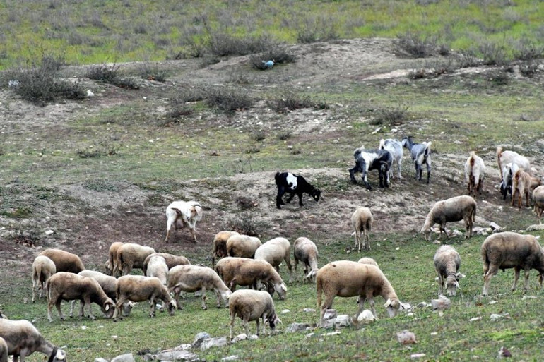 İstanbulda barajlarda kritik seviye