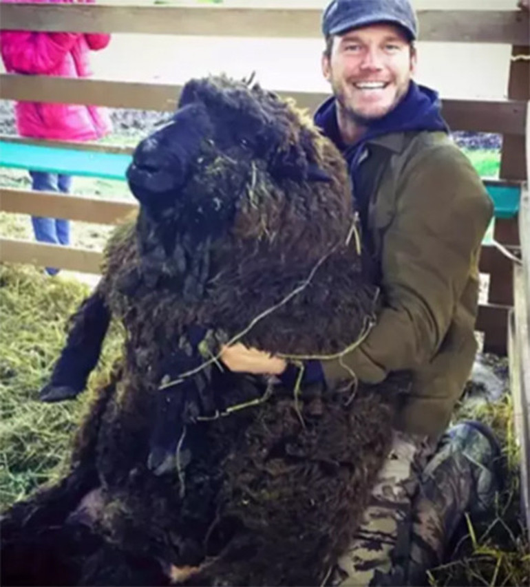 Beş yıllık evlilikte üçüncü bebek geldi... Ünlü çift mutluluktan uçuyor