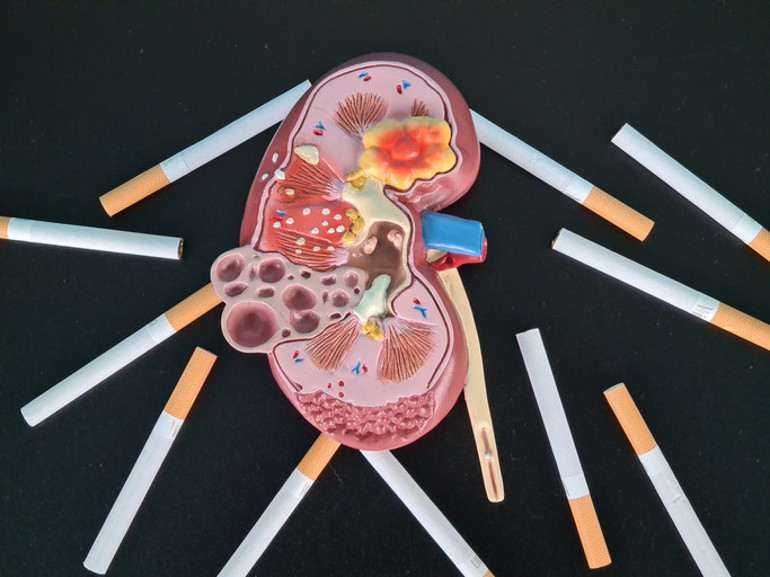 Araştırma sonuçları şaşırttı: Sigarayı bıraktıktan sonra hasar alan organların eski haline dönmesi ne kadar sürer