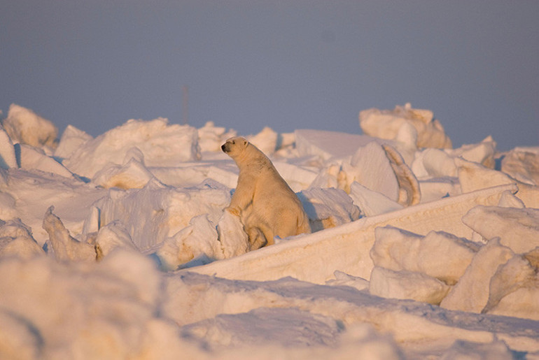 5 bin nüfuslu kasaba karanlığa gömüldü Aydınlığa kavuşmak için 2 ay bekleyecekler... Peki neden