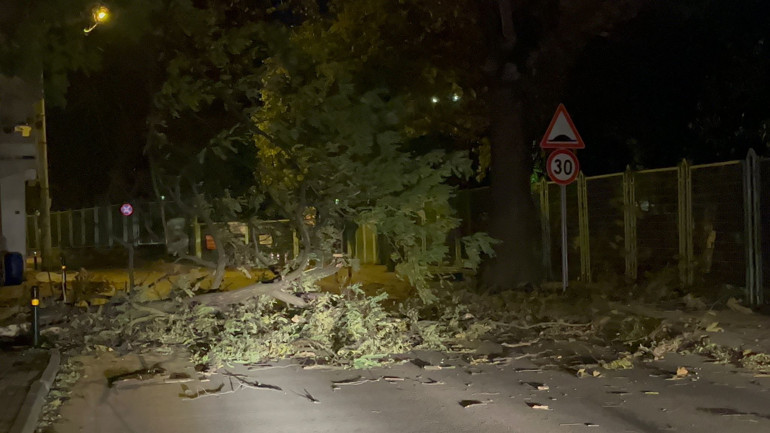 Bursada lodos etkili oldu; ağaçlar, tabelalar ve inşaat iskelesi devrildi