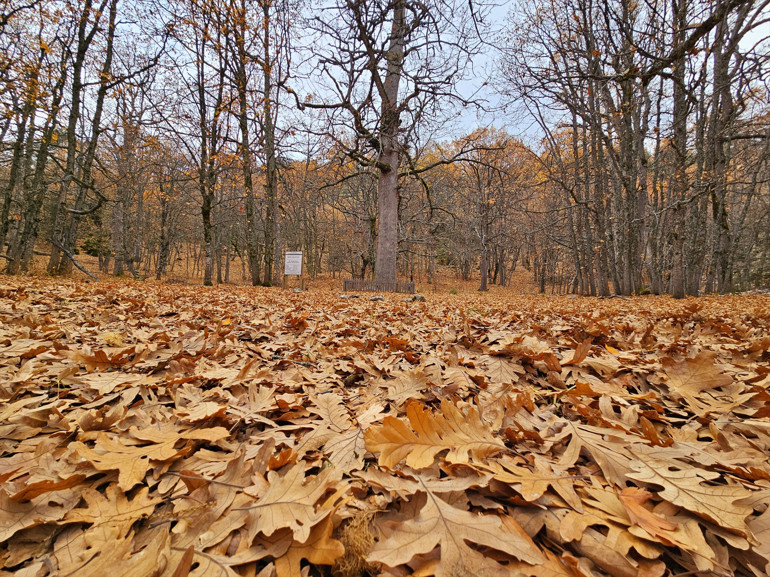 Yer: Isparta... Dünyada tek, özel izinle giriliyor