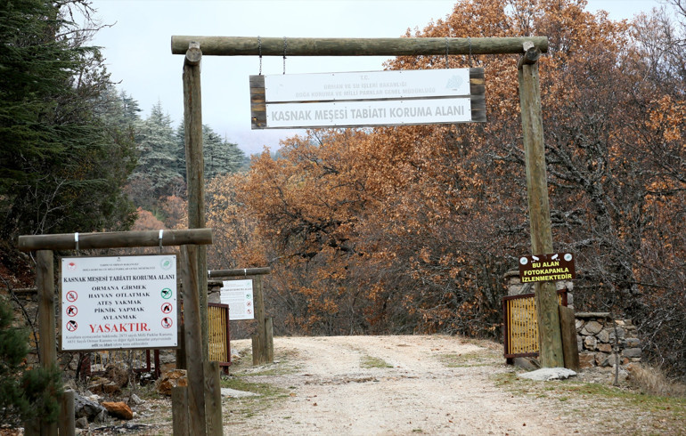 Yer: Isparta... Dünyada tek, özel izinle giriliyor