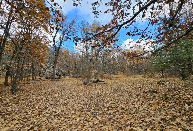 Yer: Isparta... Dünyada tek, özel izinle giriliyor