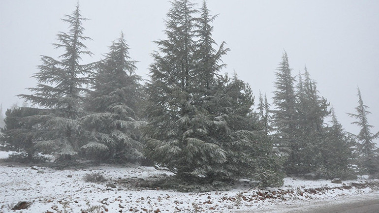 Beklenen kar yağışı başladı: Birçok il beyaza büründü... Anadolu Otoyolunda trafik durdu