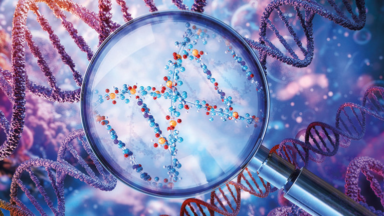 Eksozomlar çöp mü, hazine mi