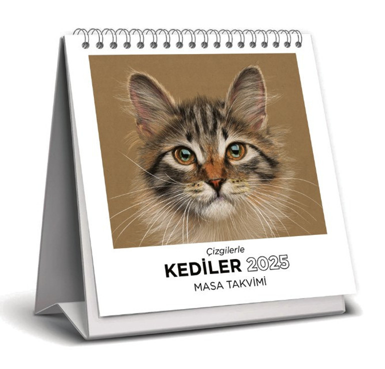 Heyecanlı bir polisiye geliyor…