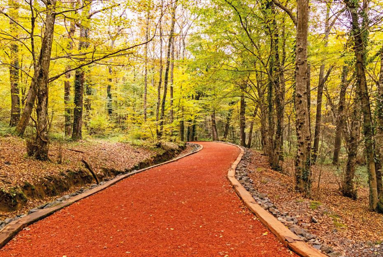 Anlat İstanbul... Var mı senden daha güzeli bu dünyada