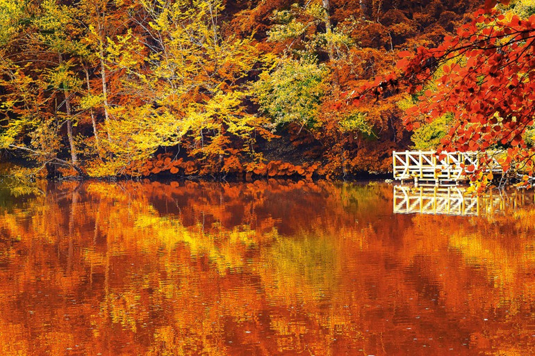 Anlat İstanbul... Var mı senden daha güzeli bu dünyada