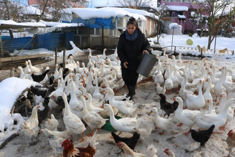 Ebru öğretmen, hayalleri için köye yerleşti: Hibe alıp birkaç taneyle başladı, şimdi sayıyı 200e çıkardı