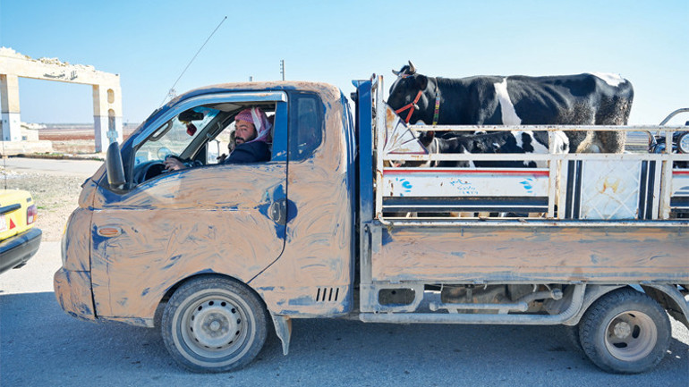 Hürriyet Tel Rıfat’ta... Sekiz yıl sonra ‘yuva’ya dönüş: Duyduk ki evimiz kurtuldu koşa koşa geldik