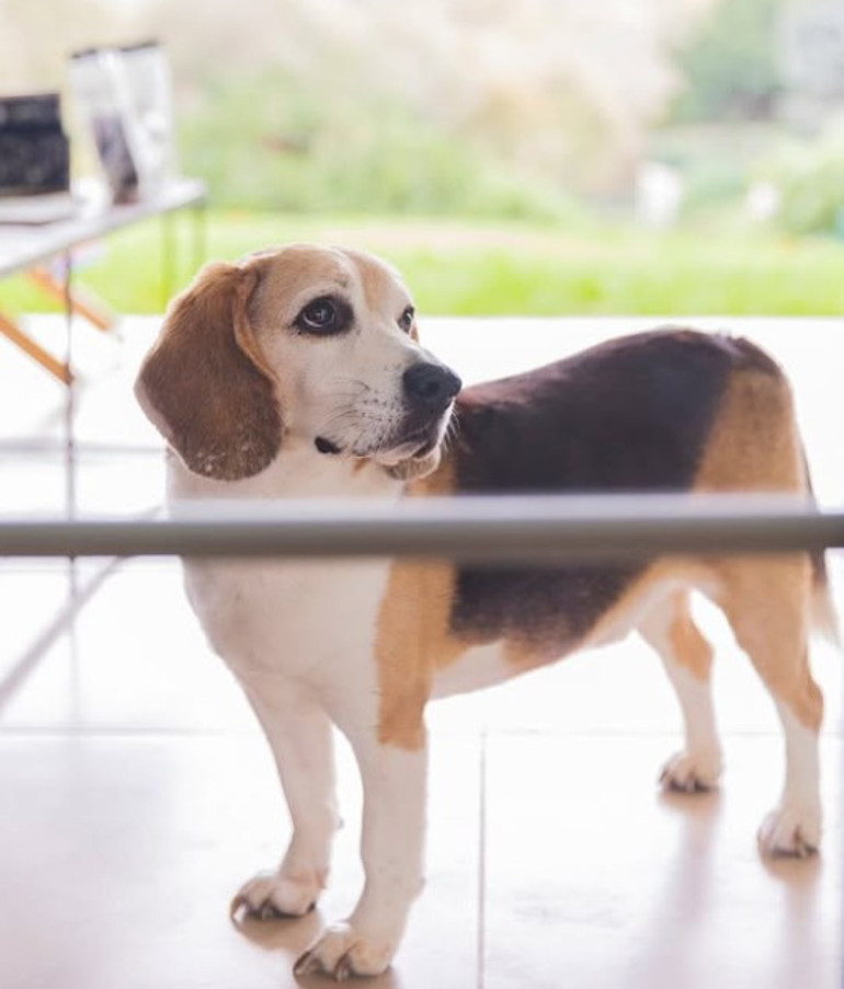 Hazal Kayanın zor günleri: Ağır bir yas sürecinden geçiyorum