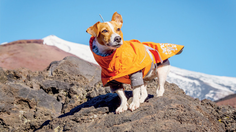 Sizin stresiniz ona da yansıyor