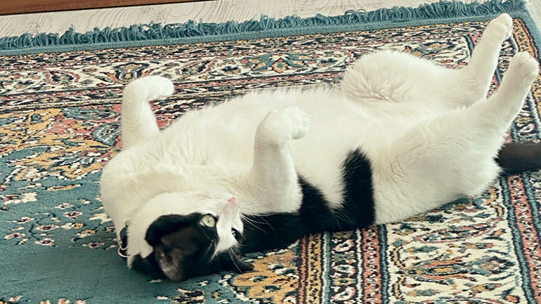 Sizin stresiniz ona da yansıyor