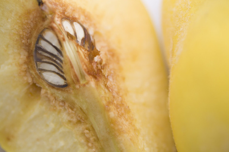 Büyüklerimiz yine haklı çıktı  En değerli yerlerini çöpe atıyoruz ama asıl onlar vücudun savaşçı hücreleri...