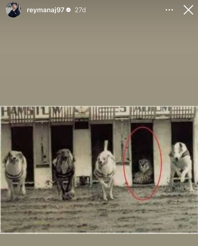 Rey Manajdan ilginç paylaşım