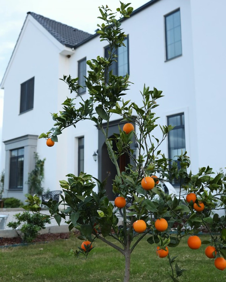 Doğa ile iç içeyim, yaklaşık 5 yıldır çiftçilik yapıyorum
