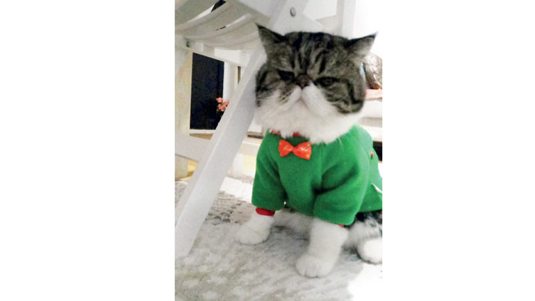 Ödül mamasını sayabiliyorlar