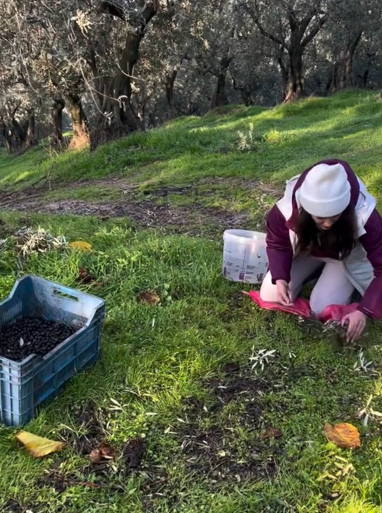 Her şeyi ardında bırakıp İstanbulu terk etmişti... Ünlü oyuncu için hasat zamanı