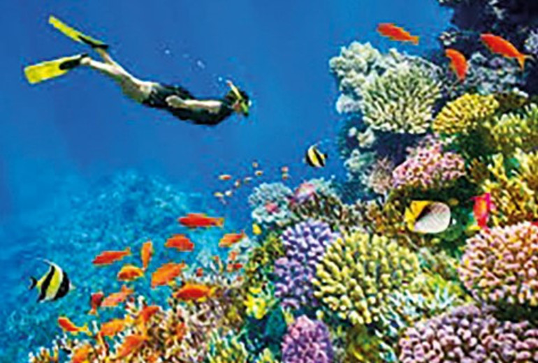 Mısır’ın Bodrum’u - İSTİSNALAR KAHİRE’Yİ BOZMAZ (SON)