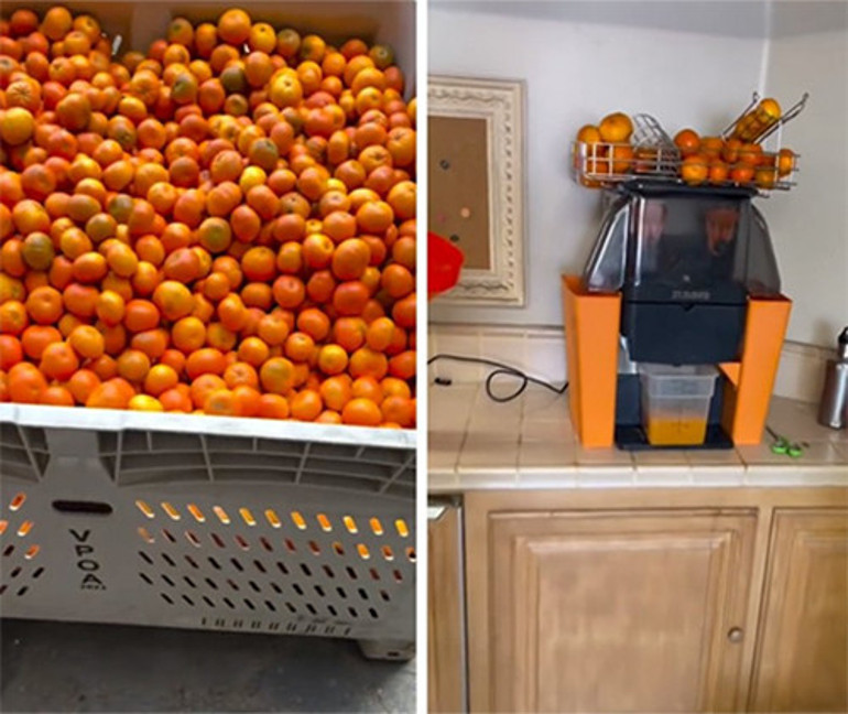 Efsane filmin oyuncusu sinemadan elini eteğini çekti... Kirli gömleği, elinde küreği... Artık mandalina yetiştiriyor