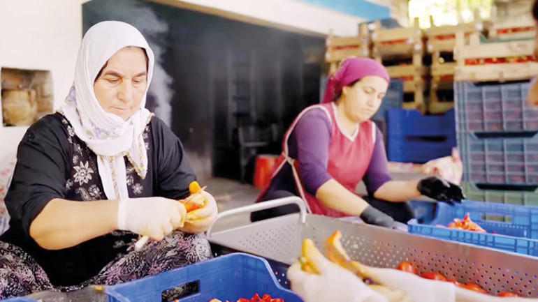 Hayallerini toprağa eken kadınlar