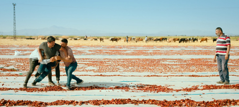 Haftanın kültür sanat ajandası