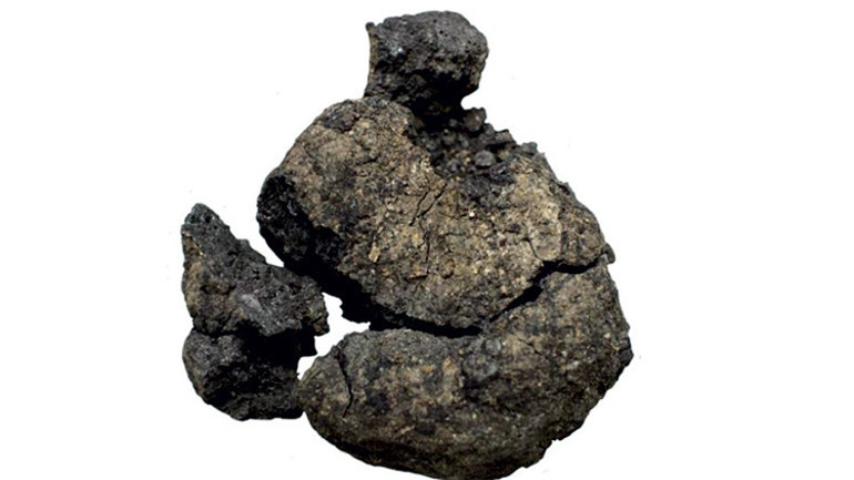 Listede Minos Hançeri de var Zeus Heykeli de... 2024’ün en önemli 10 keşfi