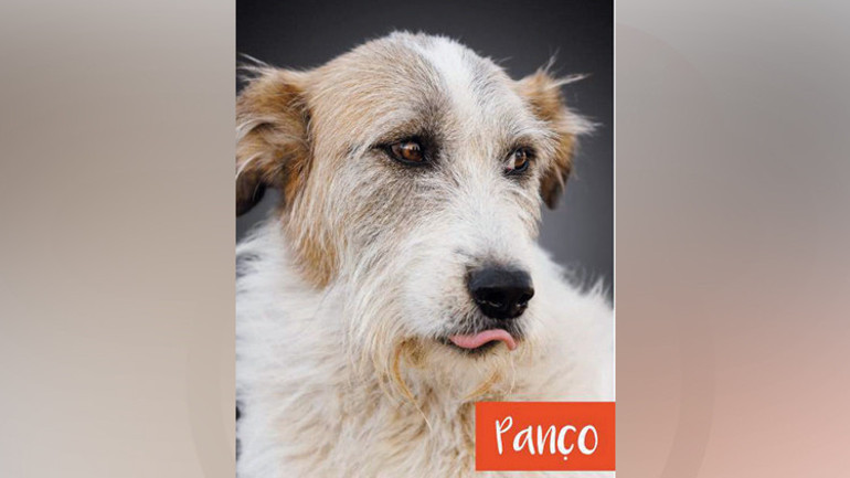 Sokaktan takvime patili güzeller