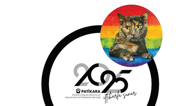 Sokaktan takvime patili güzeller