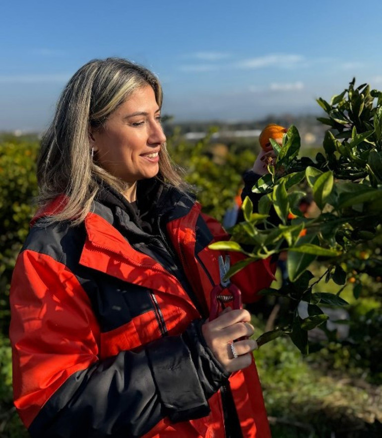 Bu mandalinalar umut ve dayanışmanın simgesi