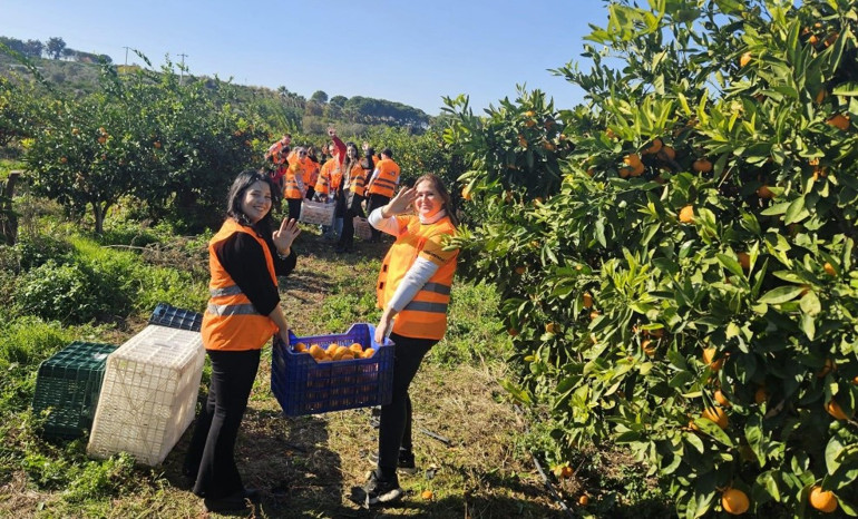 Bu mandalinalar umut ve dayanışmanın simgesi