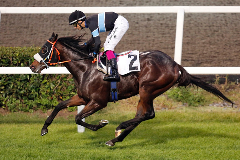 Gökhan Kocakaya: Türkiye’de yarışlar zeka ve taktiğe dayalı