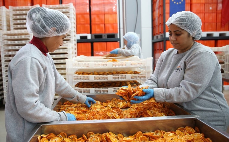 Mühendisliği bırakıp devletten hibe alarak bu işi kurdu: Günde 10 ton üretim yapıyor