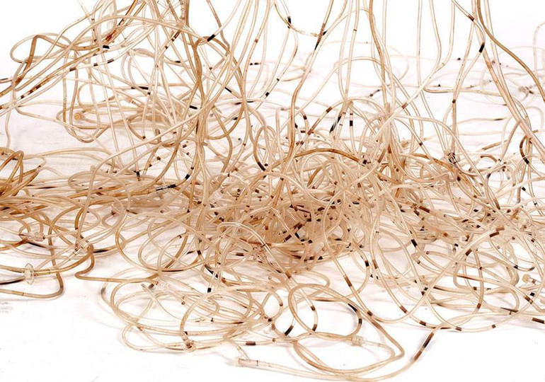 Pop, caz, teknoyla yıla hızlı giriyoruz