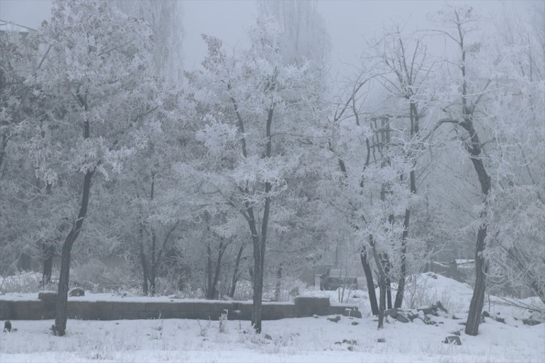 Anadolunun Sibiryası: Her şey buz tuttu Hava sıcaklığı eksi 28e düştü; ağaçlar dondu, otomobiller muşambayla kaplandı