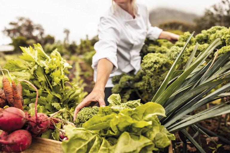 Kadın şefler, mutfakta yapay zekâ, çay ve mantı...