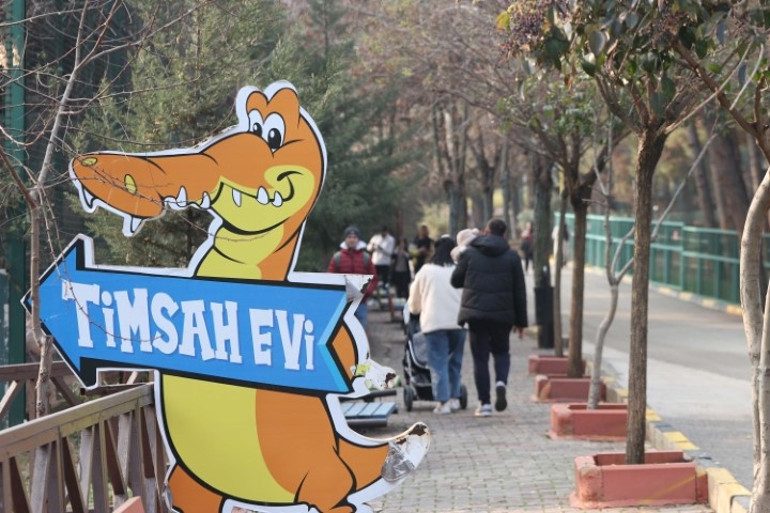 İstanbulda ele geçirilen timsahlar Gaziantepe getirildi | Alttan ısıtmalı barınak hazırlandı