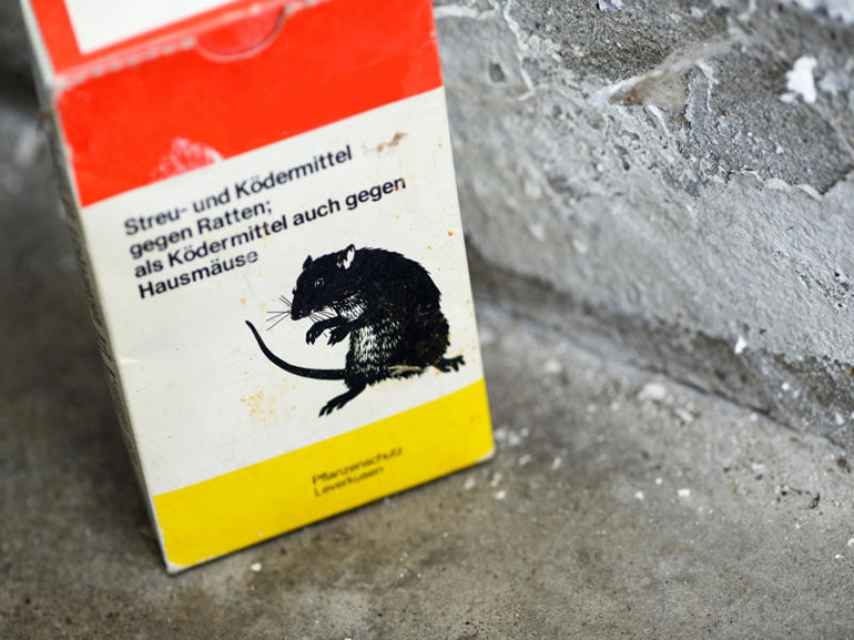 Fare zehiri 3 kardeşi hayattan kopardı Zehir nasıl buharlaştı Konut içinde kullanımı yasak mı