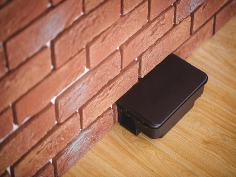 Fare zehiri 3 kardeşi hayattan kopardı Zehir nasıl buharlaştı Konut içinde kullanımı yasak mı